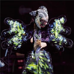 Vulnicura live