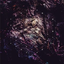 Unfold The God Man - Vinyle