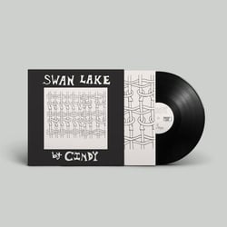 Swan Lake - EP