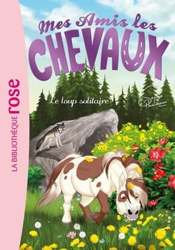Mes amis les chevaux Tome 8 : le loup solitaire