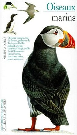 Oiseaux marins