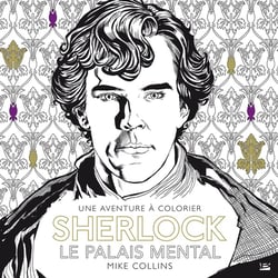 Sherlock - le palais mental