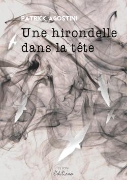 Une hirondelle dans la tête