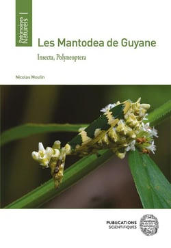 Les Mantodea de Guyane : Insecta, Polyneoptera