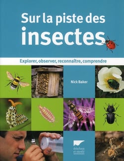 Sur la piste des insectes