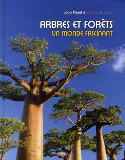 Arbres et forêts - un monde fascinant