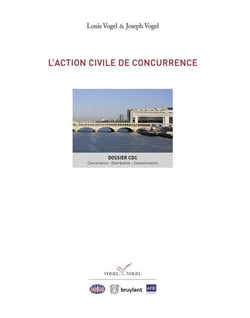 L'ACTION CIVILE DE CONCURRENCE