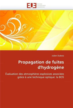 Propagation de fuites d'hydrogène - évaluation des atmosphères explosives associées grâce à une technique optique - la BOS