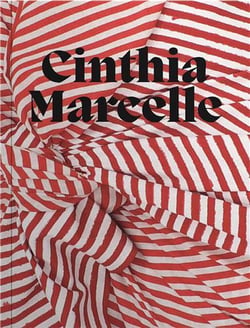 Cinthia Marcelle : by means of doubt