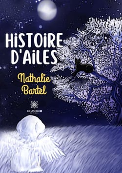 Histoire dailes