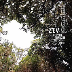 Eleven Mirrors To The Light