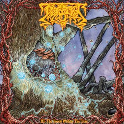 III: the forest within