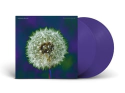 Focus on Nature - édition colorée