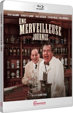 Une merveilleuse journée