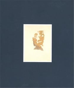 Lorna simpson: works on paper