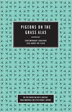 Pigeons on the grass alas