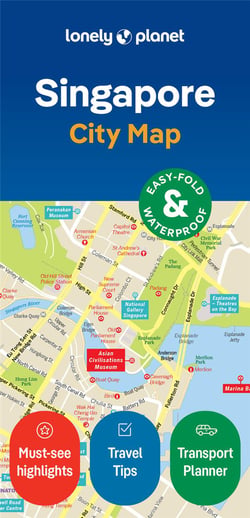 City Map : Singapore (2e édition)