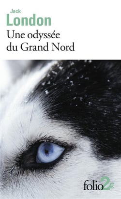 Une odyssée du grand nord - le silence blanc