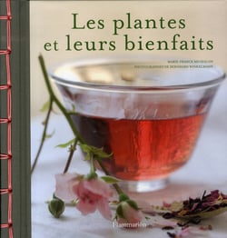Les plantes et leurs bienfaits