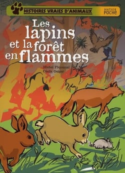 Histoires vraies d'animaux - les lapins et la forêt en flammes
