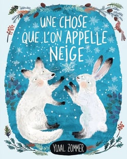 Une chose qu'on appelle la neige