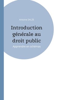 Introduction générale au droit public : Apprendre en schémas