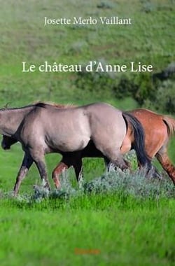 Le château d'anne lise