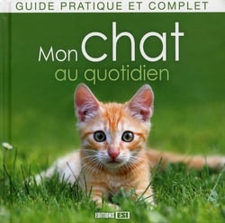 Mon chat au quotidien