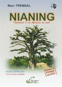 NIANING L'Odyssée et le Retour