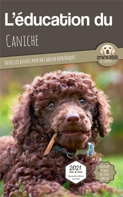 L'éducation du Caniche : toutes les astuces pour un Caniche bien éduqué
