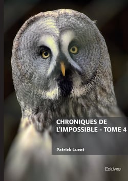Chroniques de l'impossible - tome 4