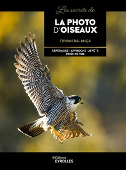 Les secrets de la photo d'oiseaux : Repérages, Approche, Affûts, Prise de vue