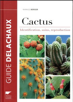 Cactus - identification, soins, reproduction
