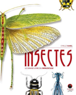 Insectes : Le grand livre du minuscule