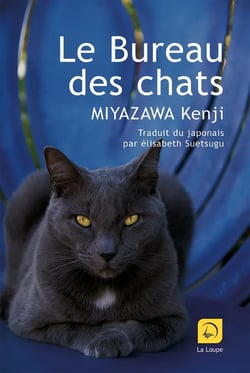 Le bureau des chats