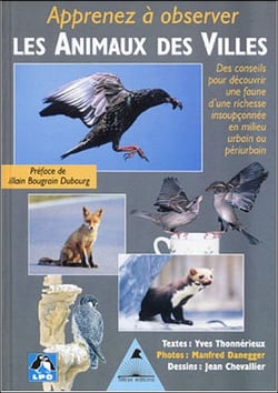 Apprenez a observer la faune des villes