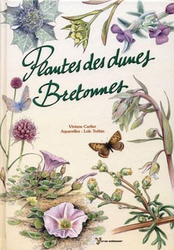 Plantes des dunes bretonnes