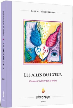 LES AILES DU COeUR - Comment s'élever par la prière