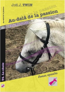 Au-dela de la passion, tome 4 la chute