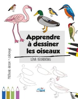 Apprendre à dessiner les oiseaux