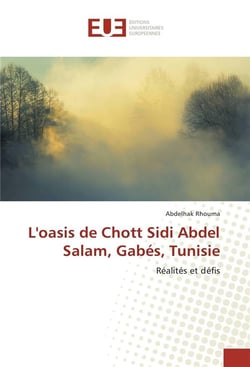L'oasis de Chott Sidi Abdel Salam, Gabés, Tunisie - réalités et défis