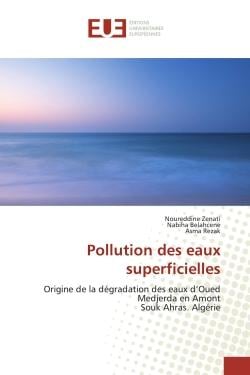 Pollution des eaux superficielles : Origine de la dégradation des eaux d'Oued Medjerda en AmontSouk Ahras. Algérie