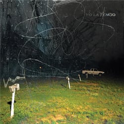 This Stupid World - CD