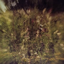 Across The Park + Sevens