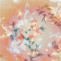 Silver wilkinson