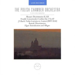 Polish chamber orchestra