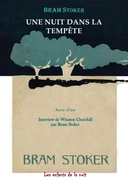 Une nuit dans la tempête