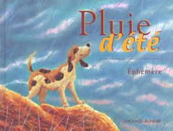 Pluie d'été