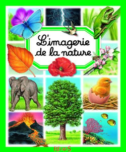 L'imagerie de la nature