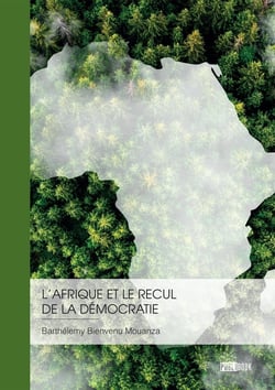 L'Afrique et le recul de la démocratie : Responsabilité africaine ou influence des grandes puissances ?